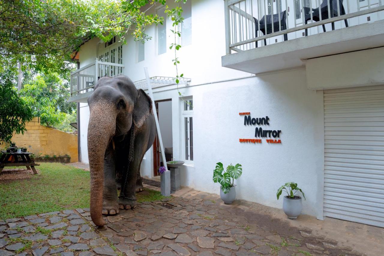 Kandyan Mount Mirror Boutique Villa Екстер'єр фото